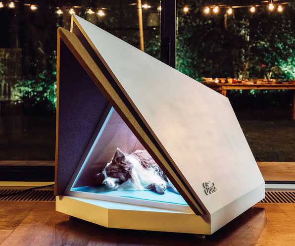 A dog sleeping peacefully, in a special made sound proof house, with lights on.
Tips of taking care of a pet dog include soundproofing the house for better environment of the pet dog.
